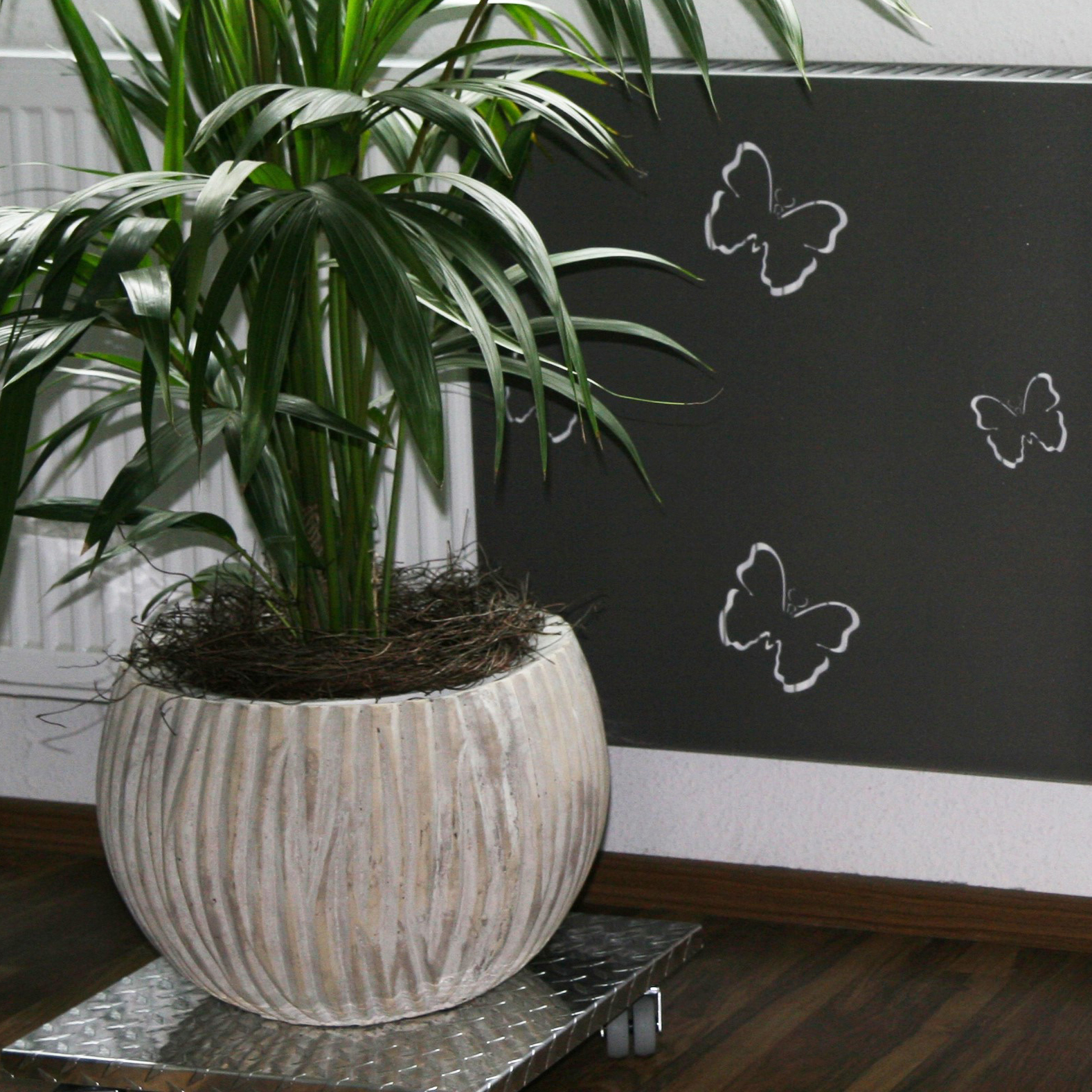 Heizkörperverkleidung 60x 60cm Butterfly anthrazit moonstone SET= 2 Stück SZAGATO Heizungsverkleidung Verkleidung Heizkörper Abdeckung für Heizkörper